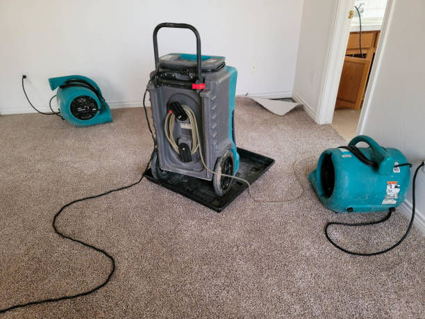 Best Emergency water damage restoration  in Itasca, IL