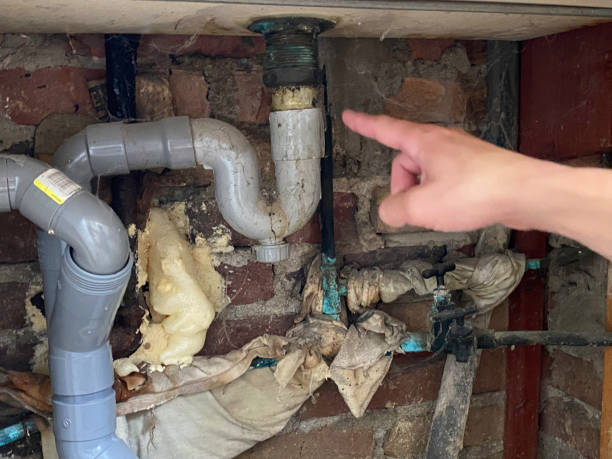 Best 24-hour water damage restoration  in Itasca, IL